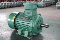 粉塵環(huán)境應(yīng)該如何選擇粉塵防爆電機(jī)型號(hào)？