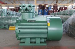 氣體防爆電機(jī)ExdIIBT4Gb的是什么意思？